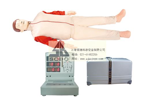 ȫ�Ԅ���X�ķΏ��Kģ�M��(����